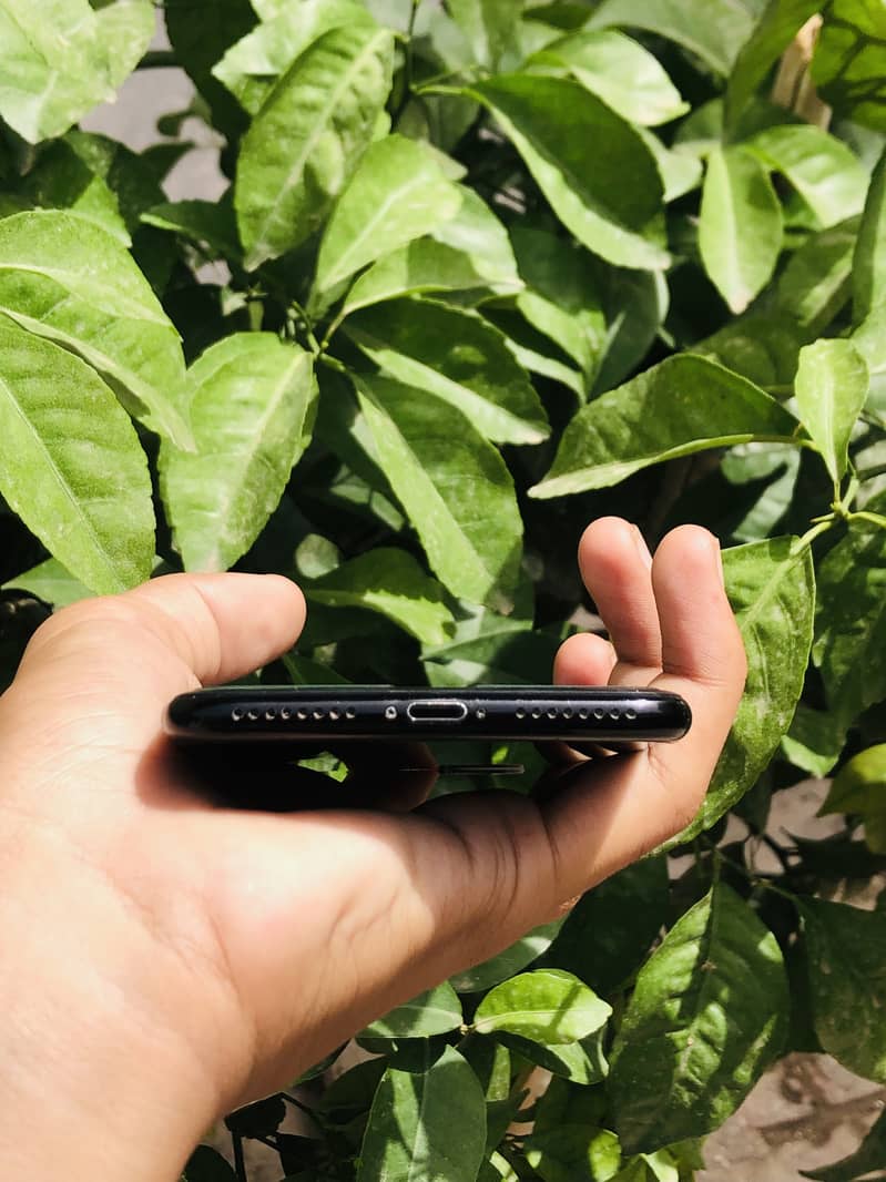 Apple iPhone 7 Plus 5