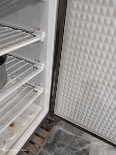 Vertical Freezer