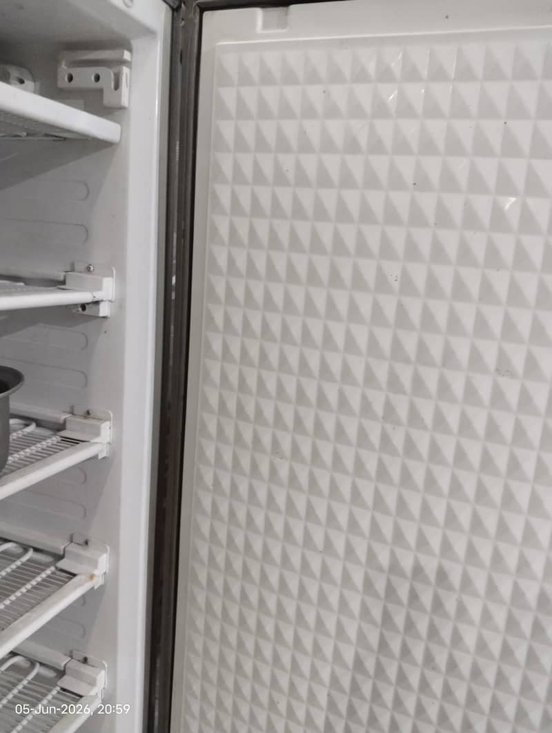 Vertical Freezer 1
