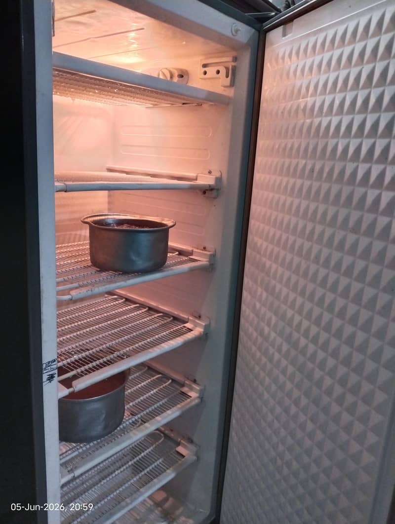 Vertical Freezer 3