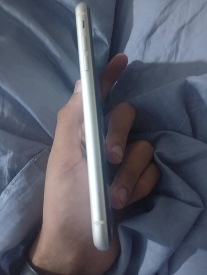 iPhone 11 3