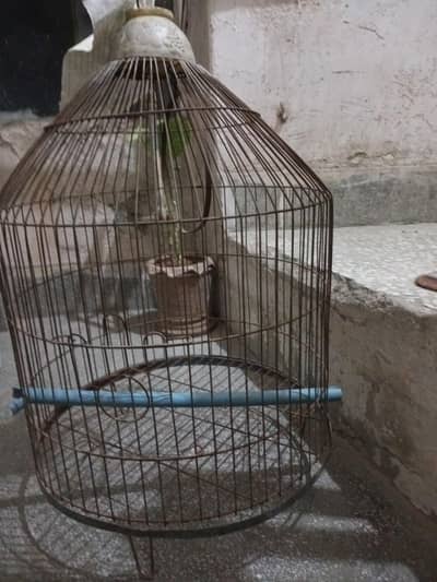 different type Cages and boxes  for sale
