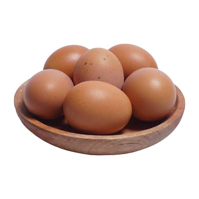 Lohmann Brown Hen Eggs