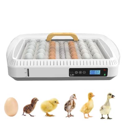 Woeng 36 egg used incubator