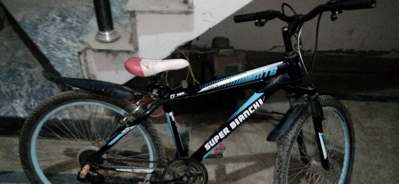 MOUNTAIN CYCLE 0