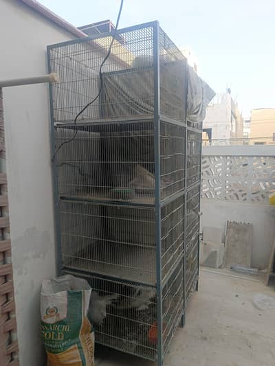 Cage Pinjra