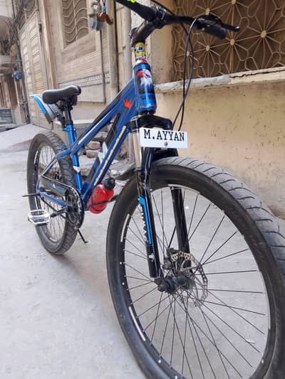 Beautiful China Bicycle 26 size (without Gears)-Excellent condition