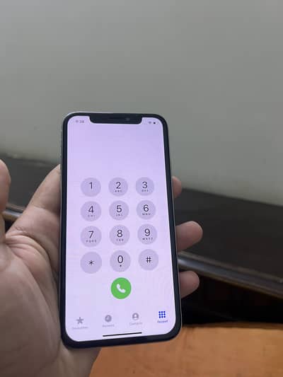 Apple iPhone X