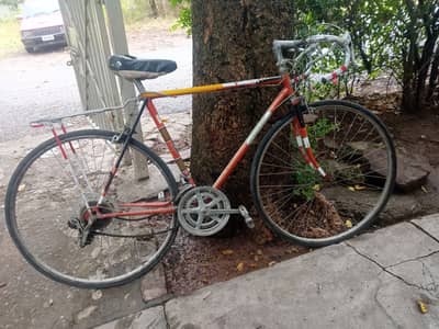 Cycleo3oo93o7799