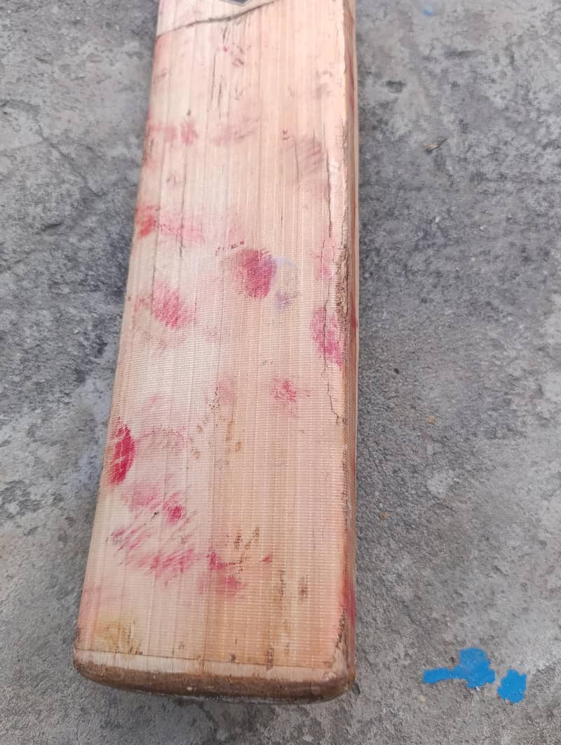 Cricket Kit 6