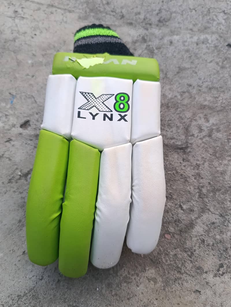 Cricket Kit 14