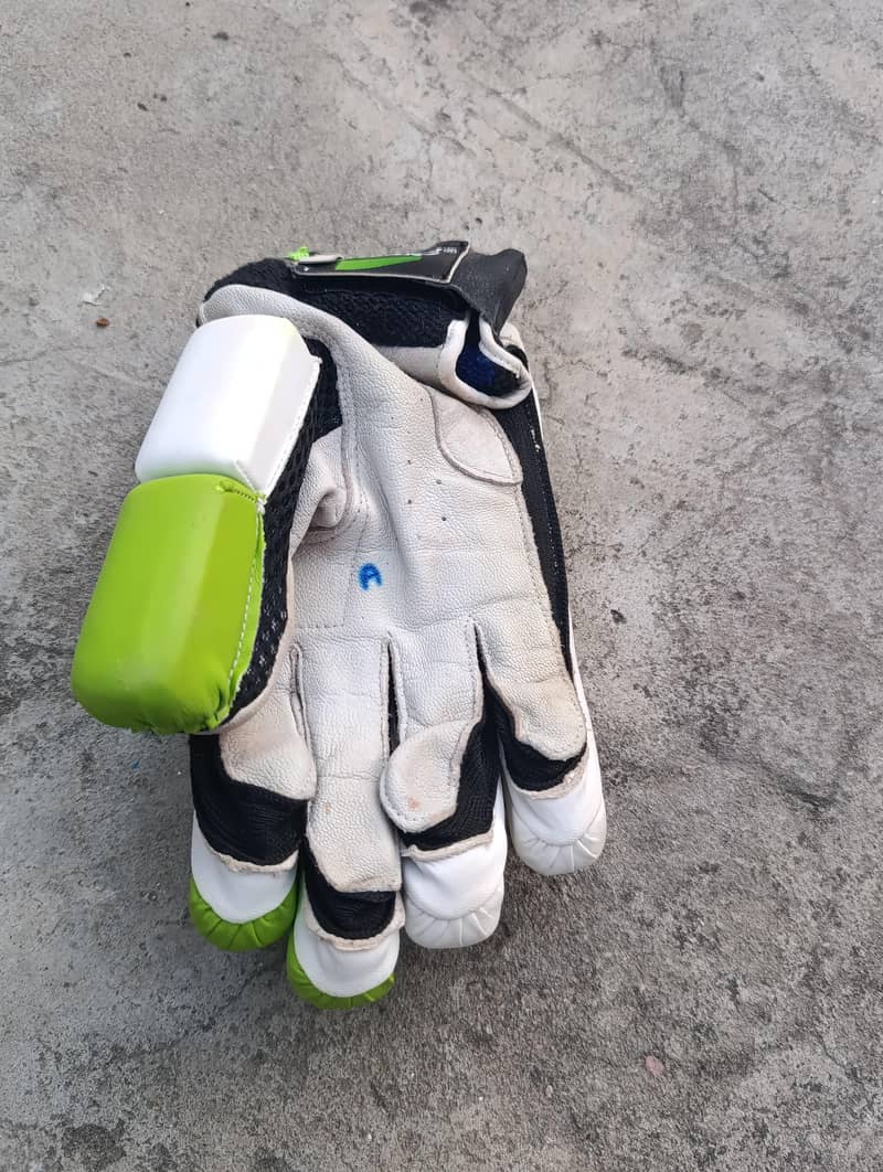 Cricket Kit 15