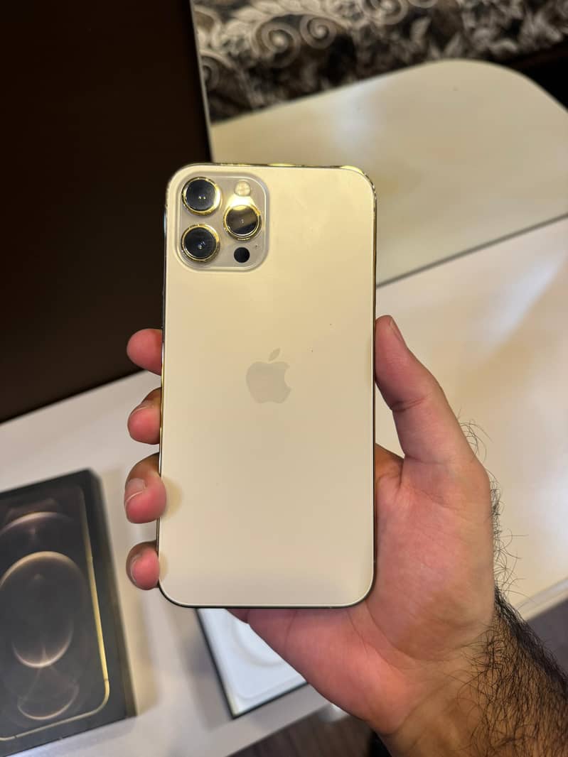 Apple iPhone 12 Pro Max 1
