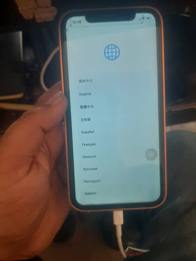 Apple iPhone XR icloud