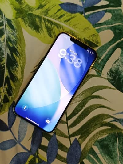 Apple iPhone 12 Pro Max