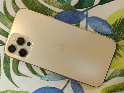 Apple iPhone 12 Pro Max