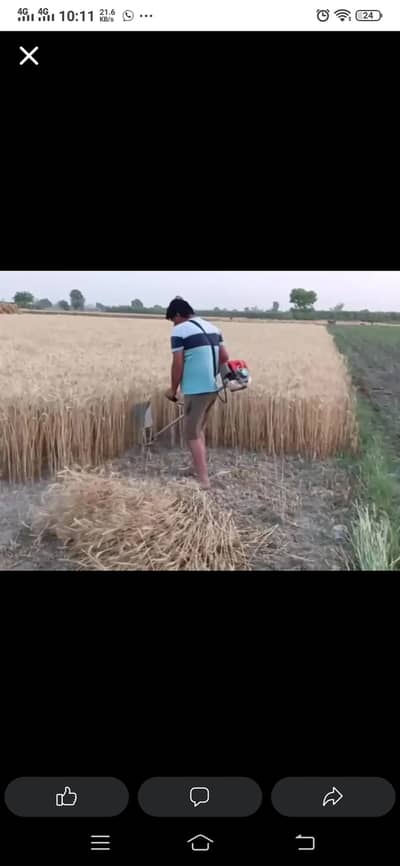 Grass cutter
