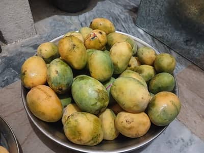 Mangoes for sell full peti 9 to 10 kg appoximately Rs 1050