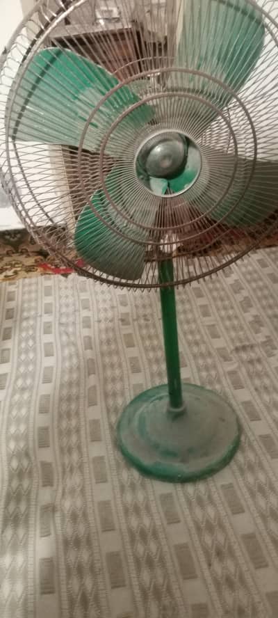 dineen fan