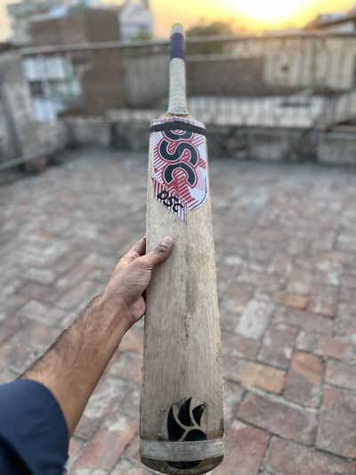 Coconut Bat Light weight
