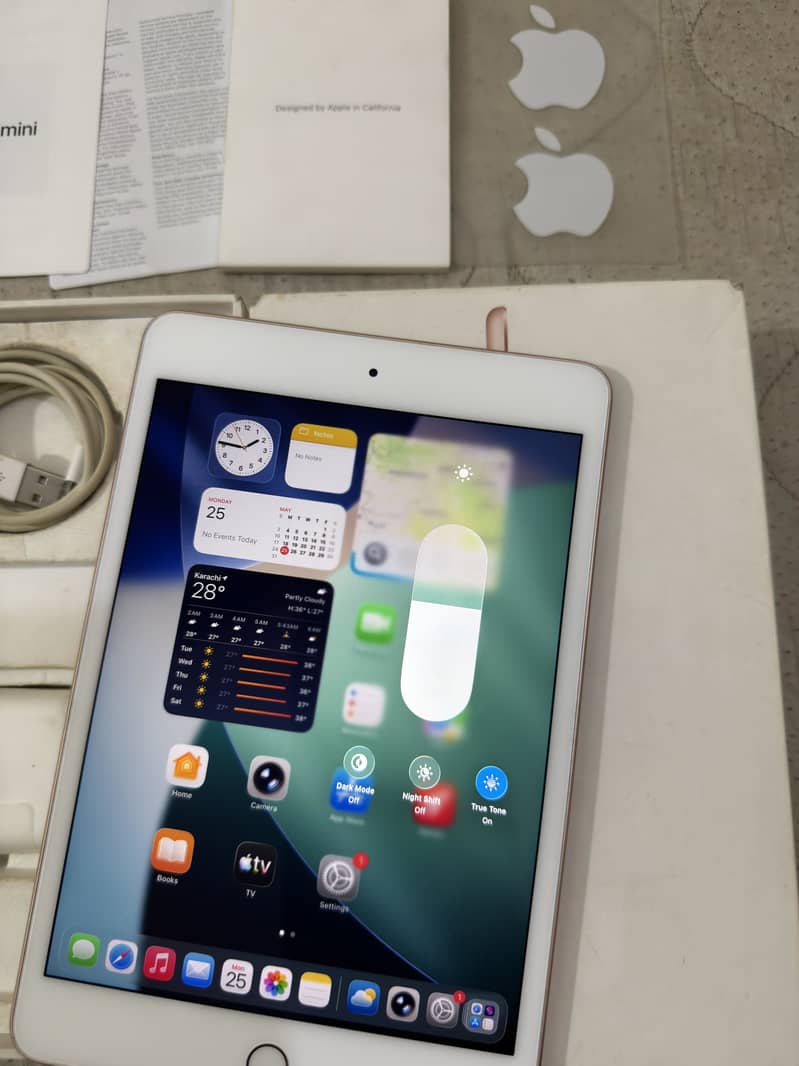 iPad Mini 5 Complete Box 9