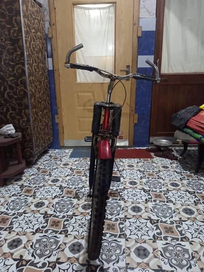 cycle in reasonable  price