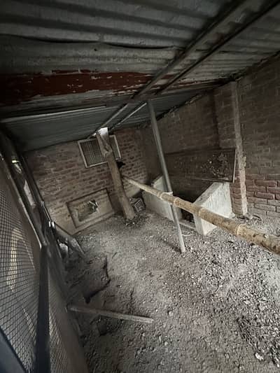 Large Poultry Hen House