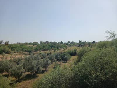 215 kanal agriculture and faram house land for sale balksar