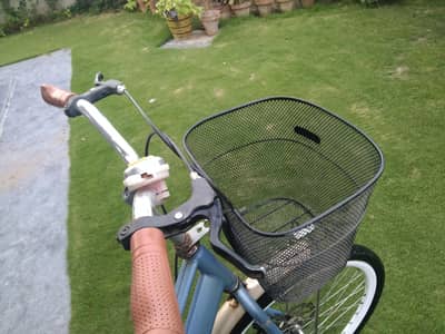 Chinese girl cycle 24 inch