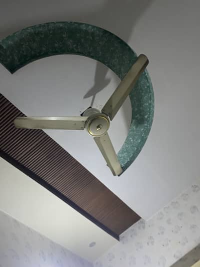 Celing fan