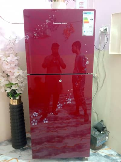 changhong Ruba 10 CFT Double Door A+