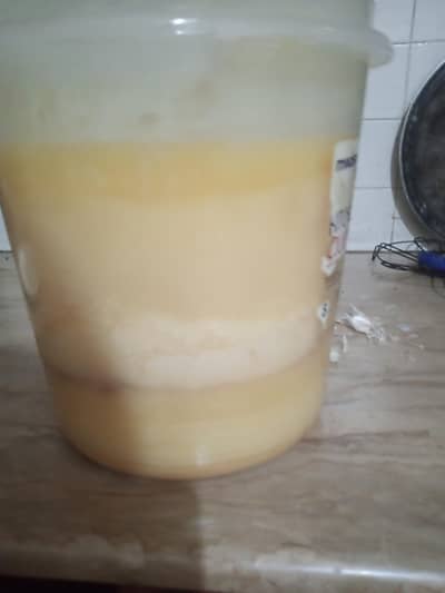 dasi ghee(6.300) kg