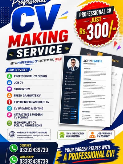 Professional Cv making service