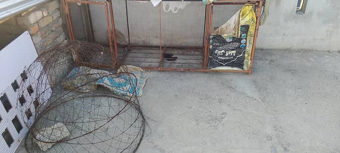 hen cage or sath 2 tokry hn