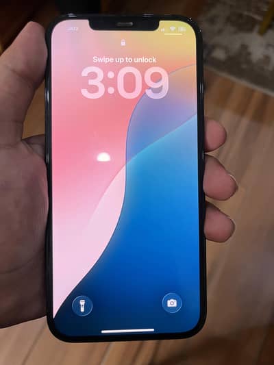 Apple iPhone 12 Pro Max