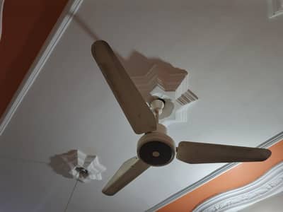 ceiling fan p