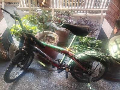 Cycle for sale