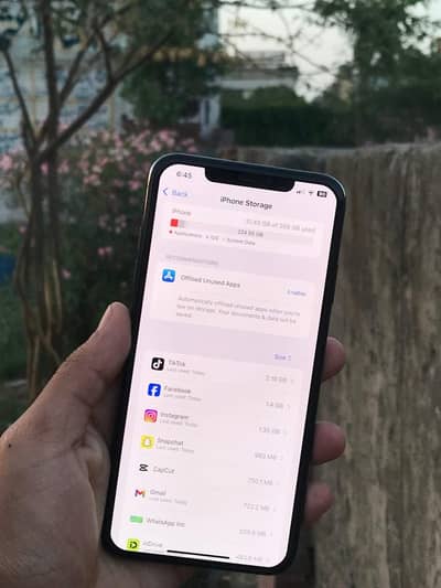 Apple iPhone XS Max