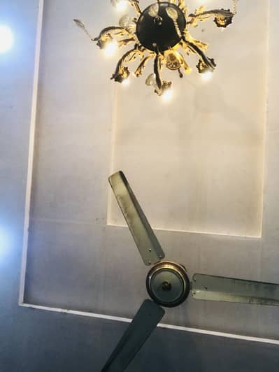 3 ceiling fans for sale- Excellent working condition (AC 220V)