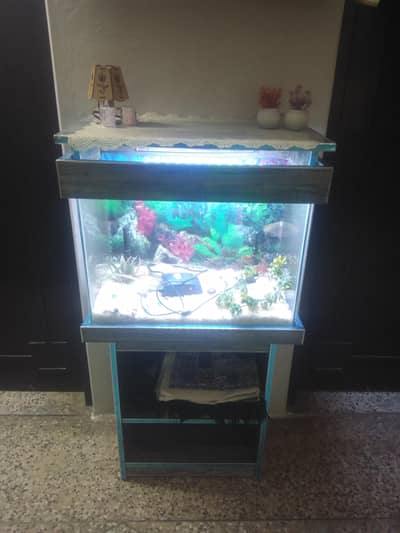 aquarium
