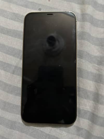 Apple iPhone 12 Pro Max