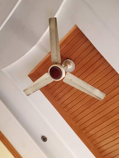 old copper fan