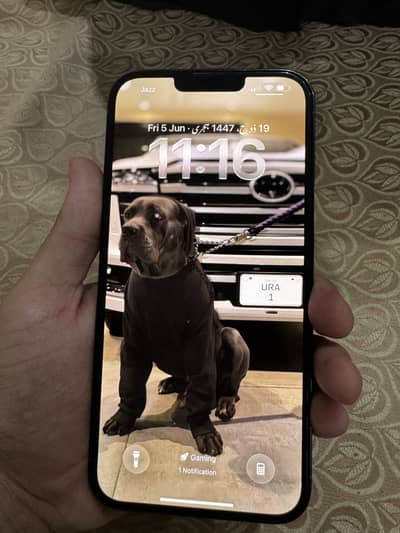 IPHONE 13 PRO MAX