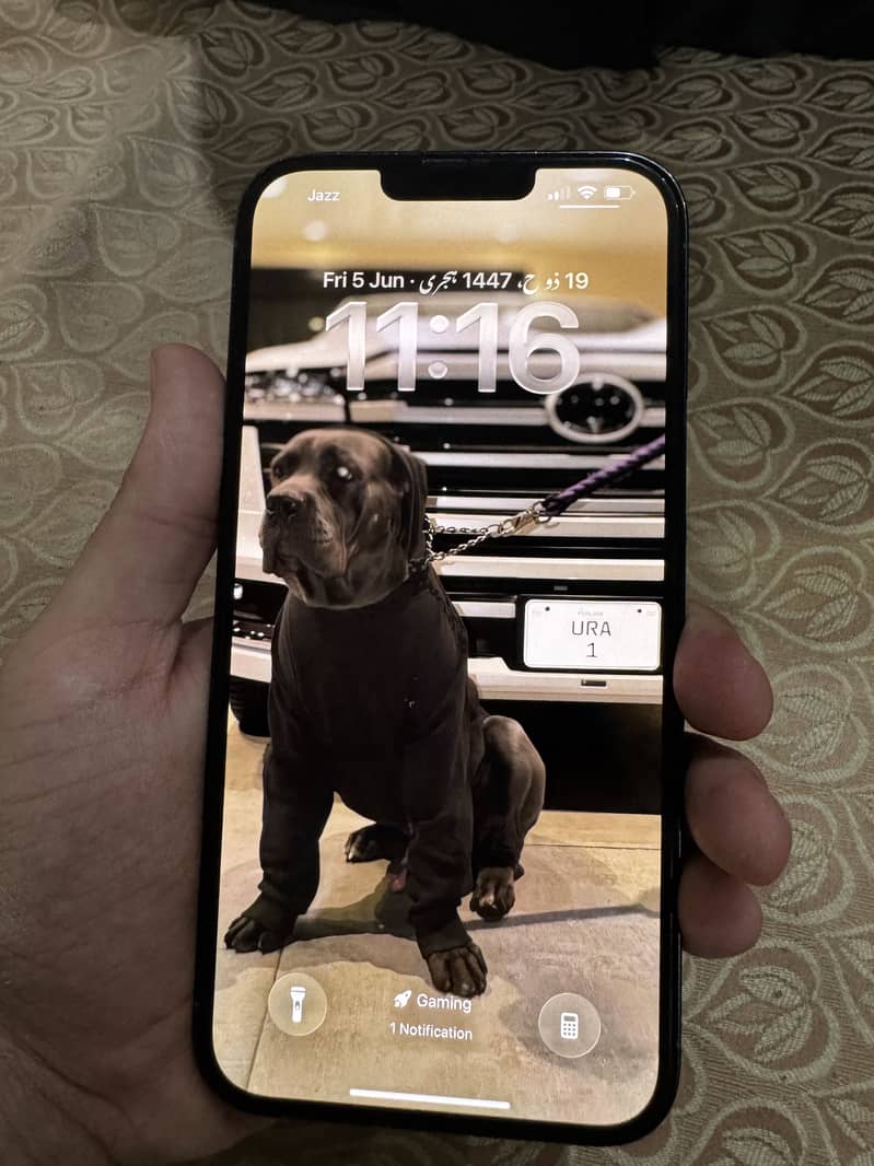 IPHONE 13 PRO MAX 0