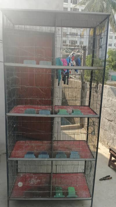 Murgiyon ka Pinjra