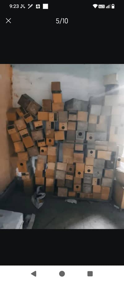 finchick wooden box for breed