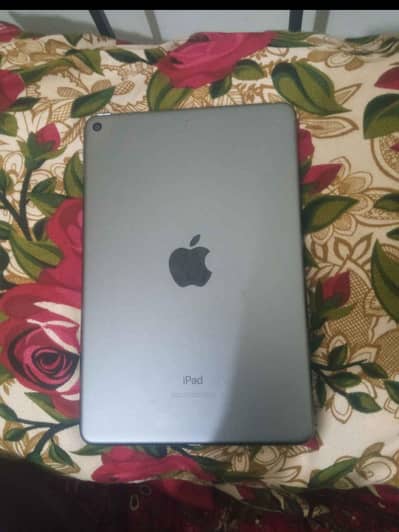 Ipad Mini 5 64 GB