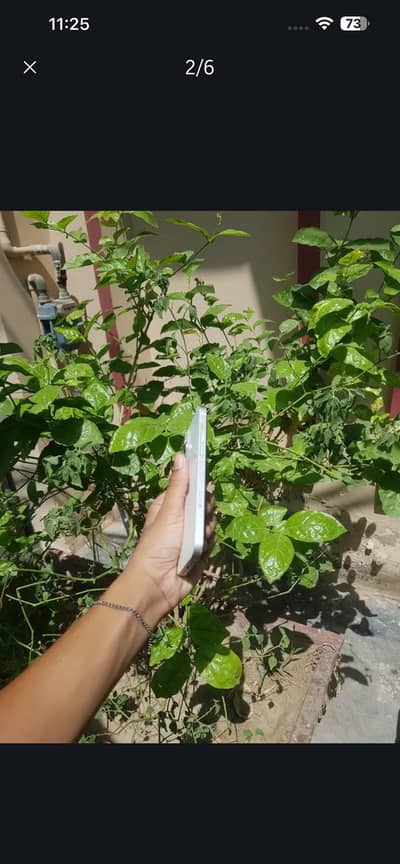 Apple iPhone 14 plus