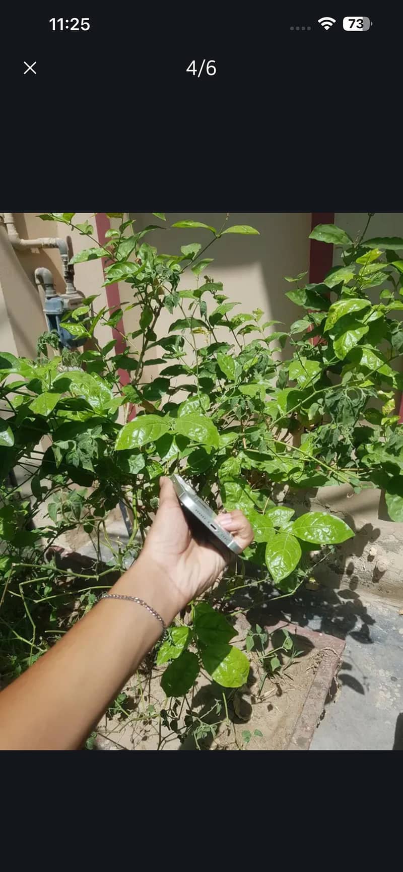 Apple iPhone 14 plus 3