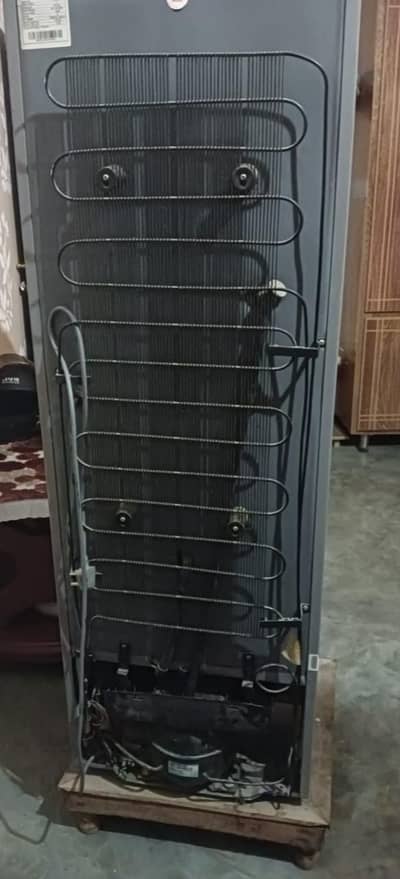 Fridge dowlance